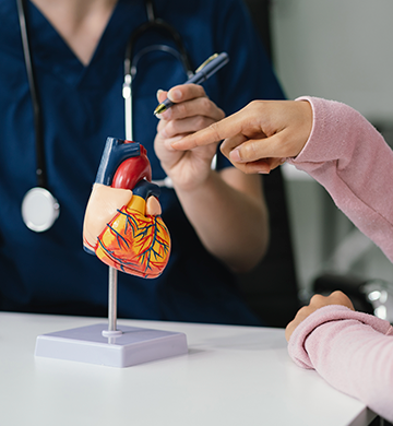 Calidad garantizada e medicare plus